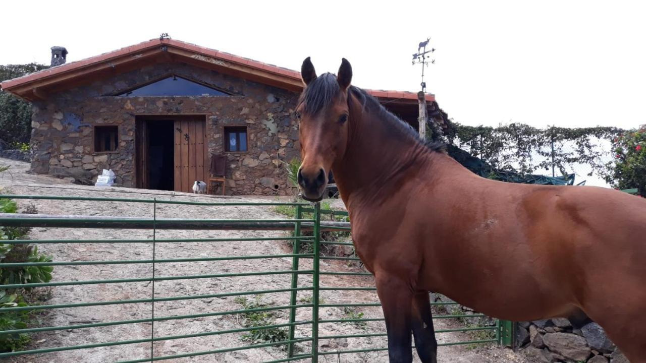 Finca Rural House Tenerife Relax And Enjoy Santa Úrsula Eksteriør billede