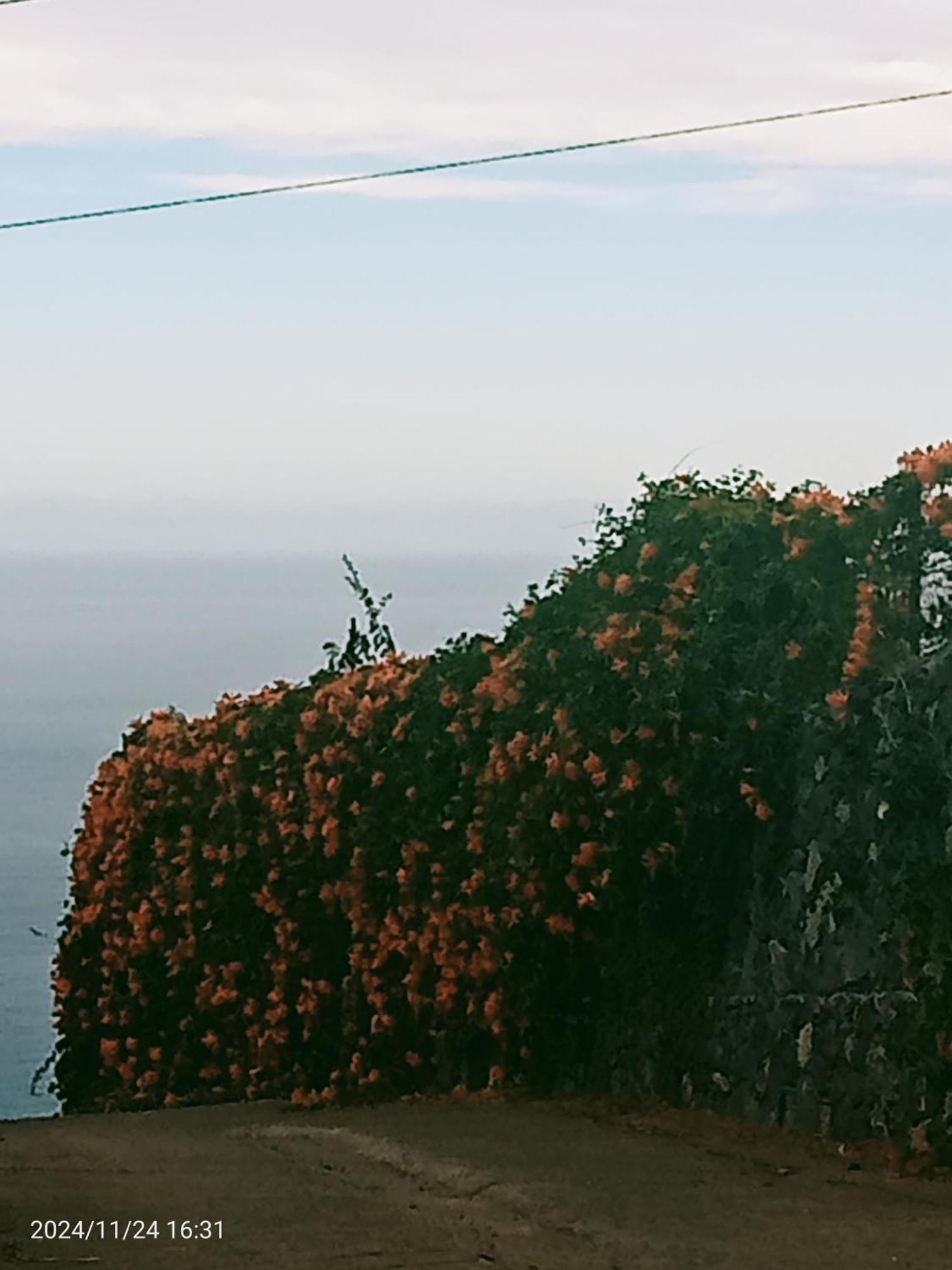 Finca Rural House Tenerife Relax And Enjoy Santa Úrsula Eksteriør billede