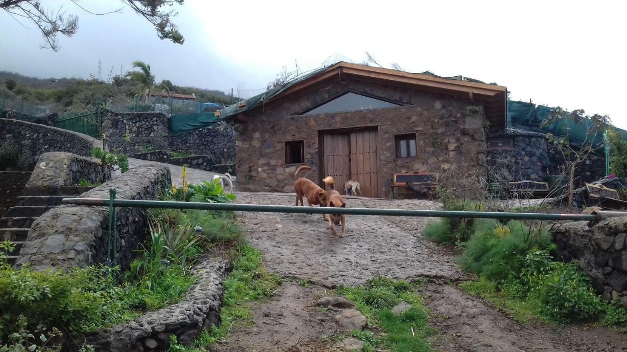 Finca Rural House Tenerife Relax And Enjoy Santa Úrsula Eksteriør billede