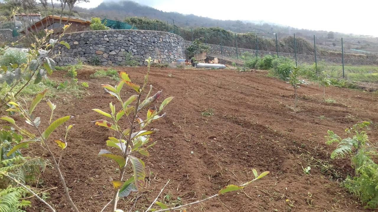 Finca Rural House Tenerife Relax And Enjoy Santa Úrsula Eksteriør billede