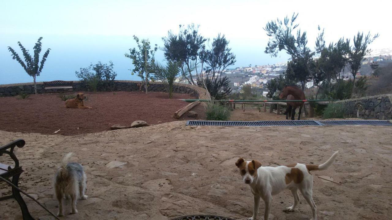Finca Rural House Tenerife Relax And Enjoy Santa Úrsula Eksteriør billede